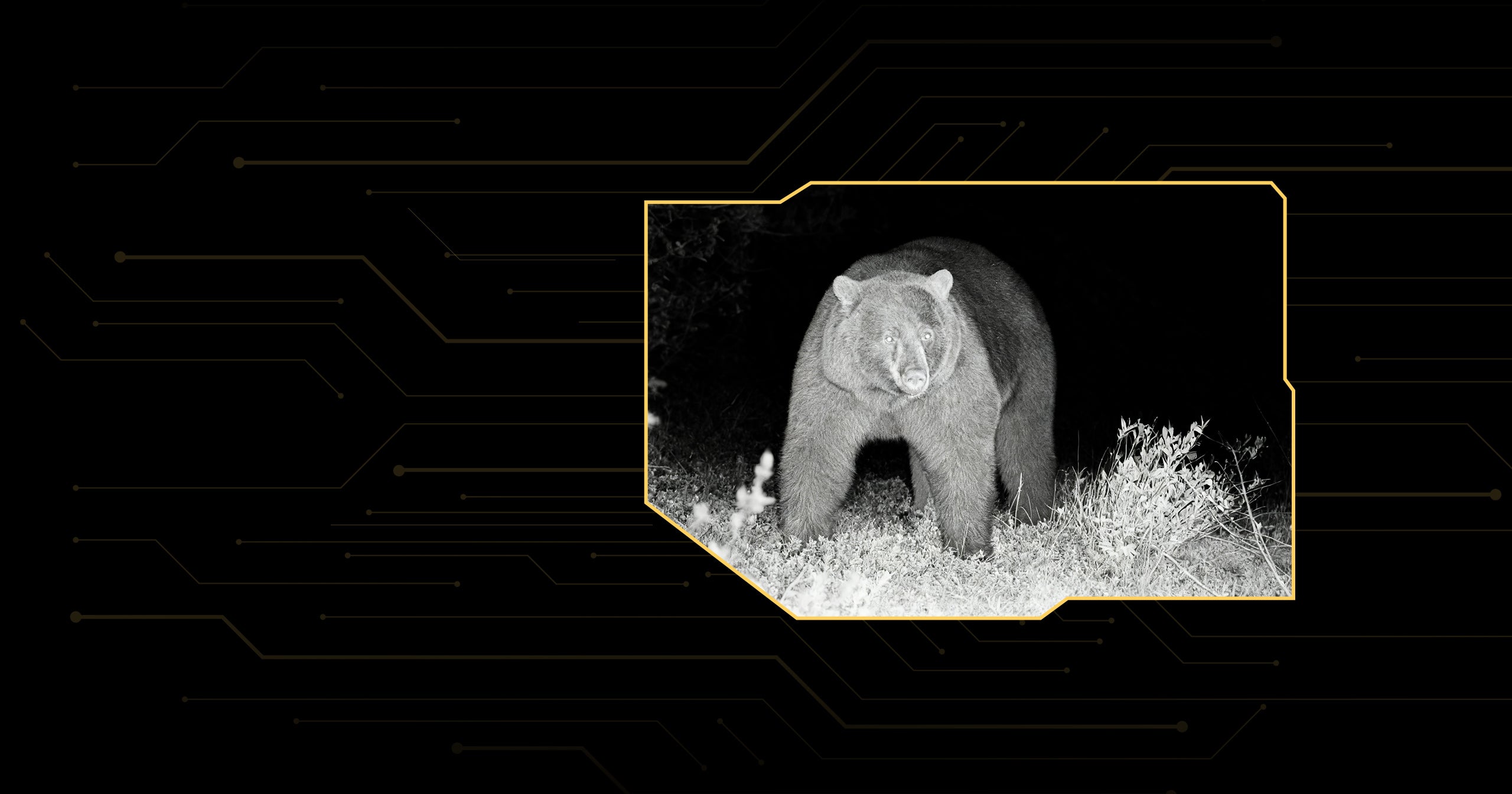 slider image slider_item_NkrQWm